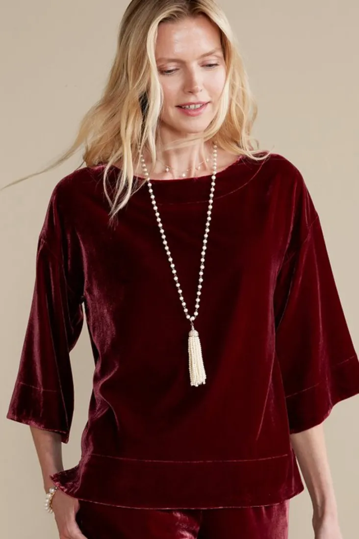Hot Soft Surroundings Aria Velvet Top