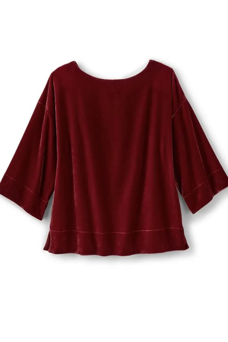Hot Soft Surroundings Aria Velvet Top