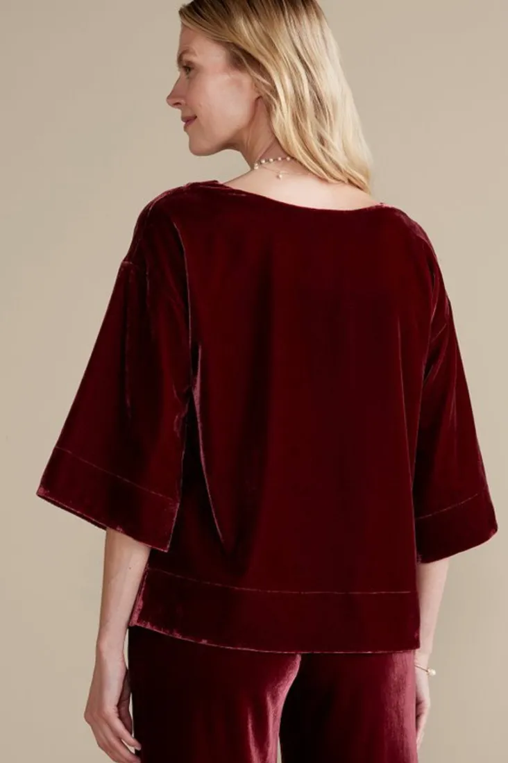 Hot Soft Surroundings Aria Velvet Top