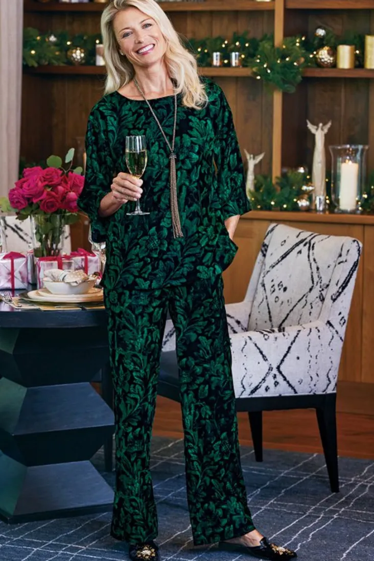 Hot Soft Surroundings Aria Velvet Top