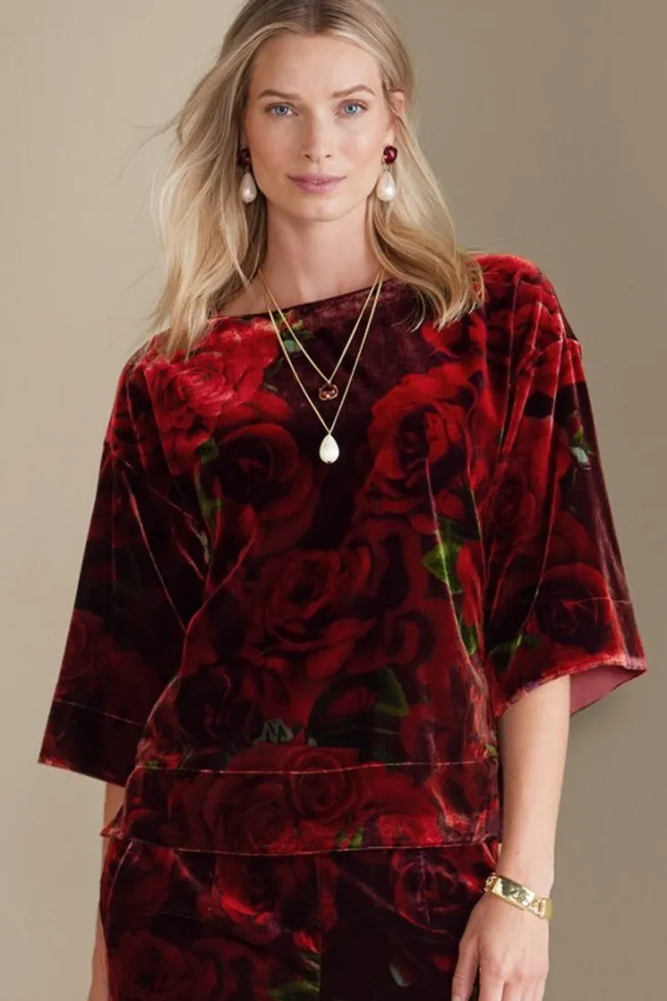 Hot Soft Surroundings Aria Velvet Top