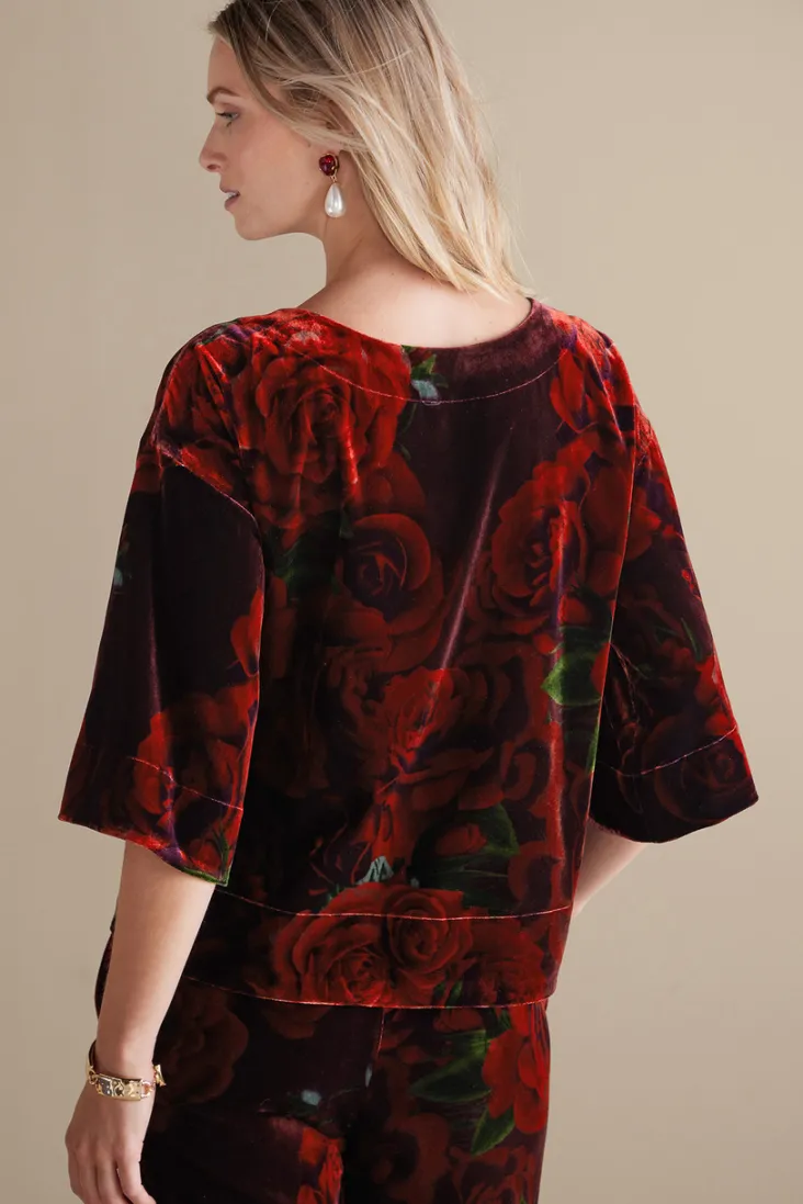 Hot Soft Surroundings Aria Velvet Top