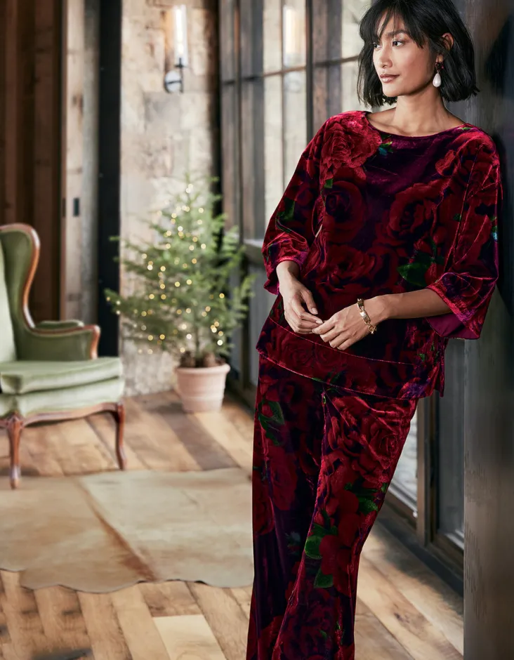 Hot Soft Surroundings Aria Velvet Top