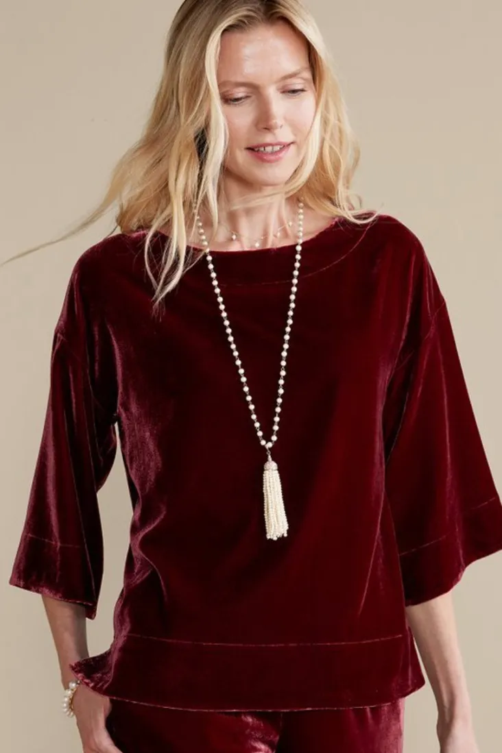 Hot Soft Surroundings Aria Velvet Top