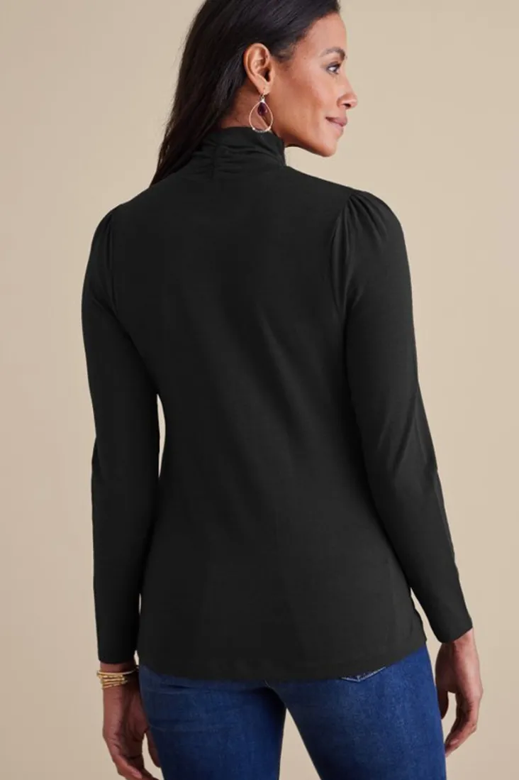 Clearance Soft Surroundings Emme Turtleneck Top