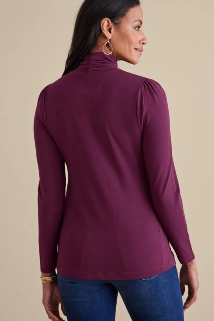Clearance Soft Surroundings Emme Turtleneck Top
