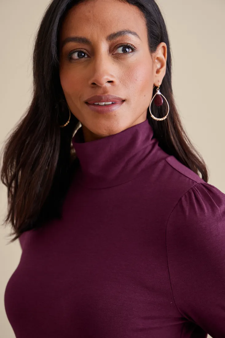 Clearance Soft Surroundings Emme Turtleneck Top