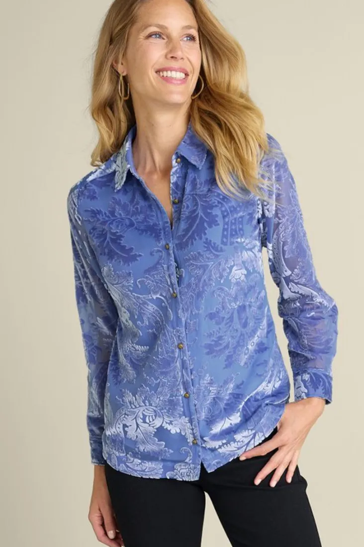 Best Soft Surroundings Floreat Velvet Shirt