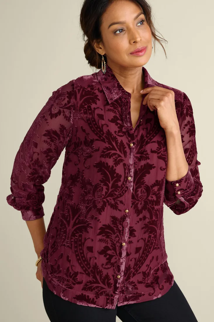 Best Soft Surroundings Floreat Velvet Shirt