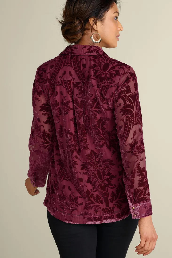 Best Soft Surroundings Floreat Velvet Shirt