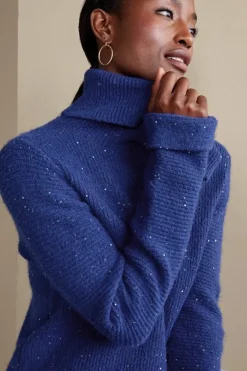 Online Soft Surroundings Linley Sequin Sweater