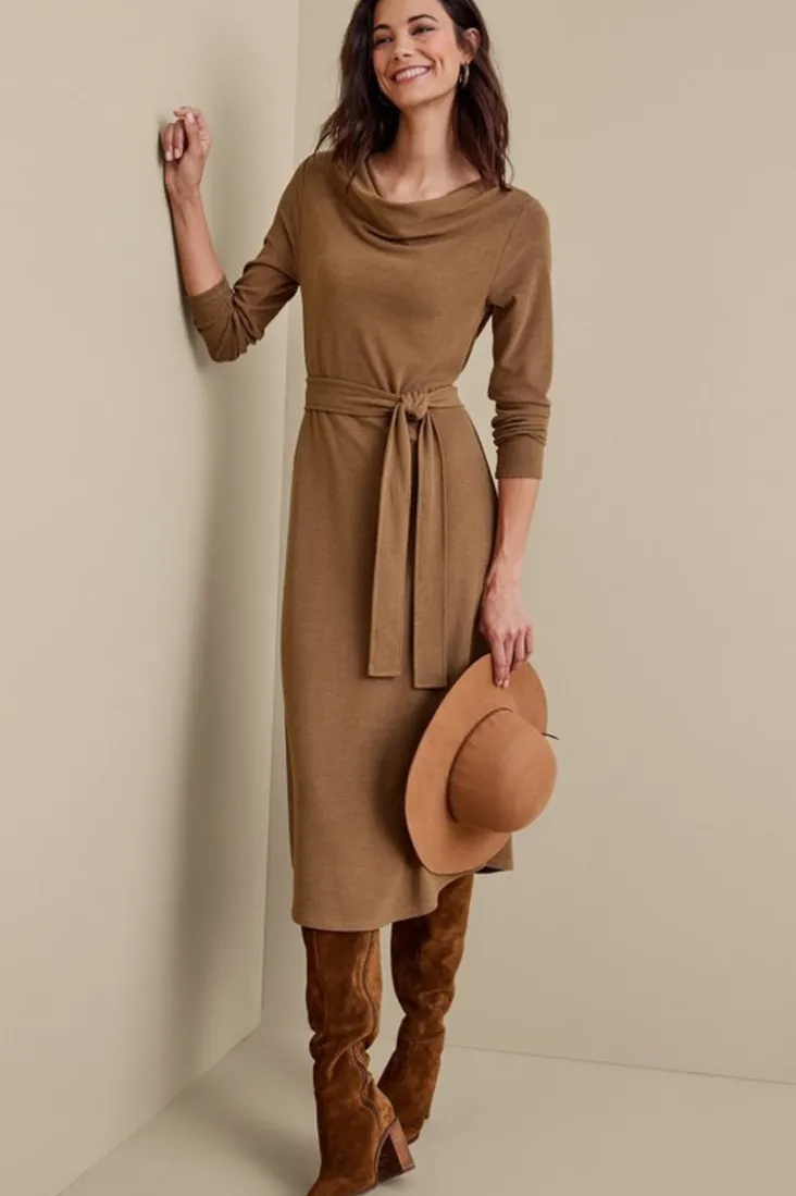 Sale Soft Surroundings Paula Dress CocoaBrown